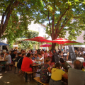 Free Time for Lunch (at own expense) or Local Discoveries