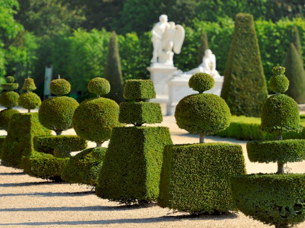 Ophorus Tours - Art & Opulence: Private Tour of Giverny & Versailles from Paris