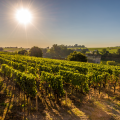 Winery