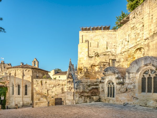 Ophorus Tours - Bordeaux to Saint-Émilion: Private Wine Tastings & Monuments Tour