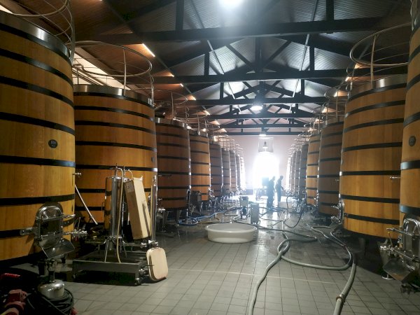 Ophorus Tours - Explore Medoc Wineries: Private Shore Trip from Le Verdon