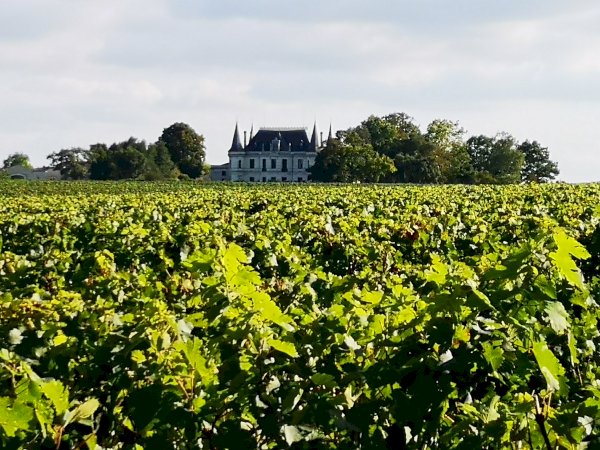 Ophorus Tours - From Pauillac Cruise Port Médoc Wine Tour Private Shore Excursion