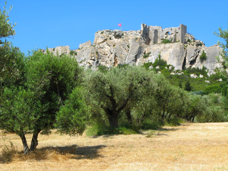 Ophorus Tours - History & Beauty: Arles & Les Baux Private Shore Trip from Marseille