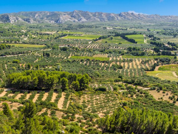 Ophorus Tours - History & Beauty: Arles & Les Baux Private Shore Trip from Marseille