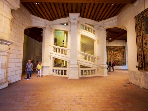 Ophorus Tours - History & Majesty: Private Loire Valley Castles Tour from Paris