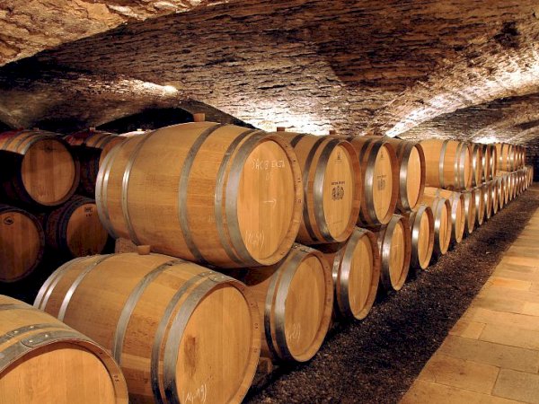 Ophorus Tours - Indulge in Burgundy's Grand Crus: Private Wine Tour from Beaune