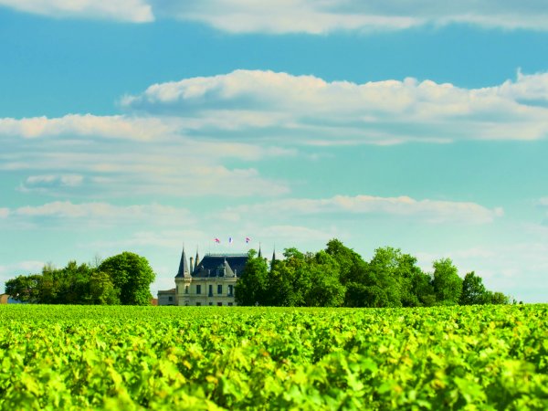 Ophorus Tours - 5-Day Private Grands Crus Bordeaux Wine Tours Package - 4* Hotel