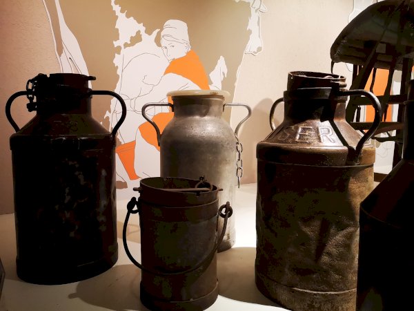 Ophorus Tours - 5-Day Private Normandy Package - Bayeux - 5* Hotel