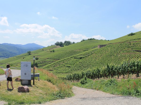 Ophorus Tours - 5-Day Small Group Alsace Package - Strasbourg - 5* Hotel