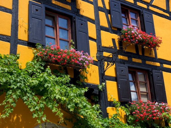 Ophorus Tours - 5-Day Small Group Alsace Package - Strasbourg - 5* Hotel