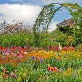 Claude Monet's House and Gardens