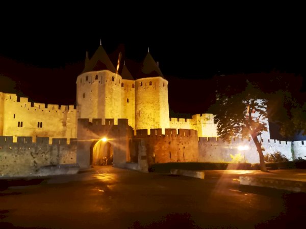 Ophorus Tours - Carcassonne Private Half-Day tour from Toulouse 