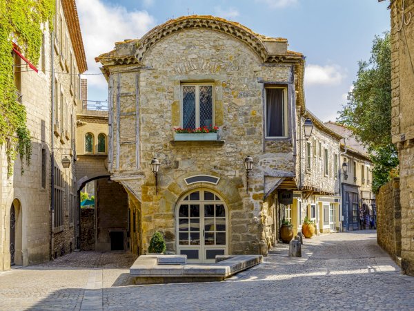 Ophorus Tours - Carcassonne Private Half-Day tour from Toulouse 