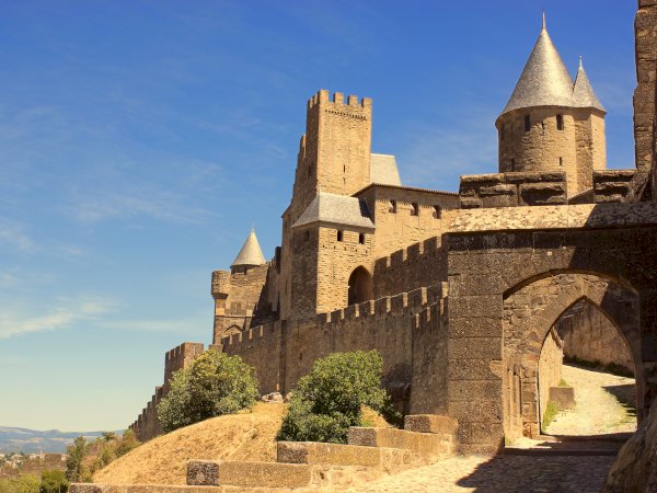Ophorus Tours - Carcassonne Private Half-Day tour from Toulouse 