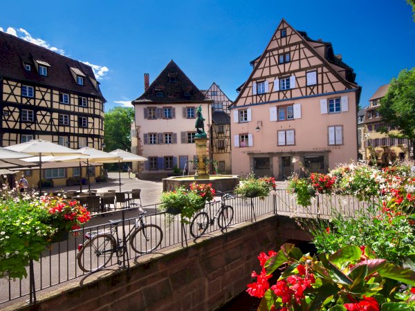 Ophorus Tours - Alsace Day Tour: From Strasbourg to Colmar, Riquewihr & Haut Koenigsbourg