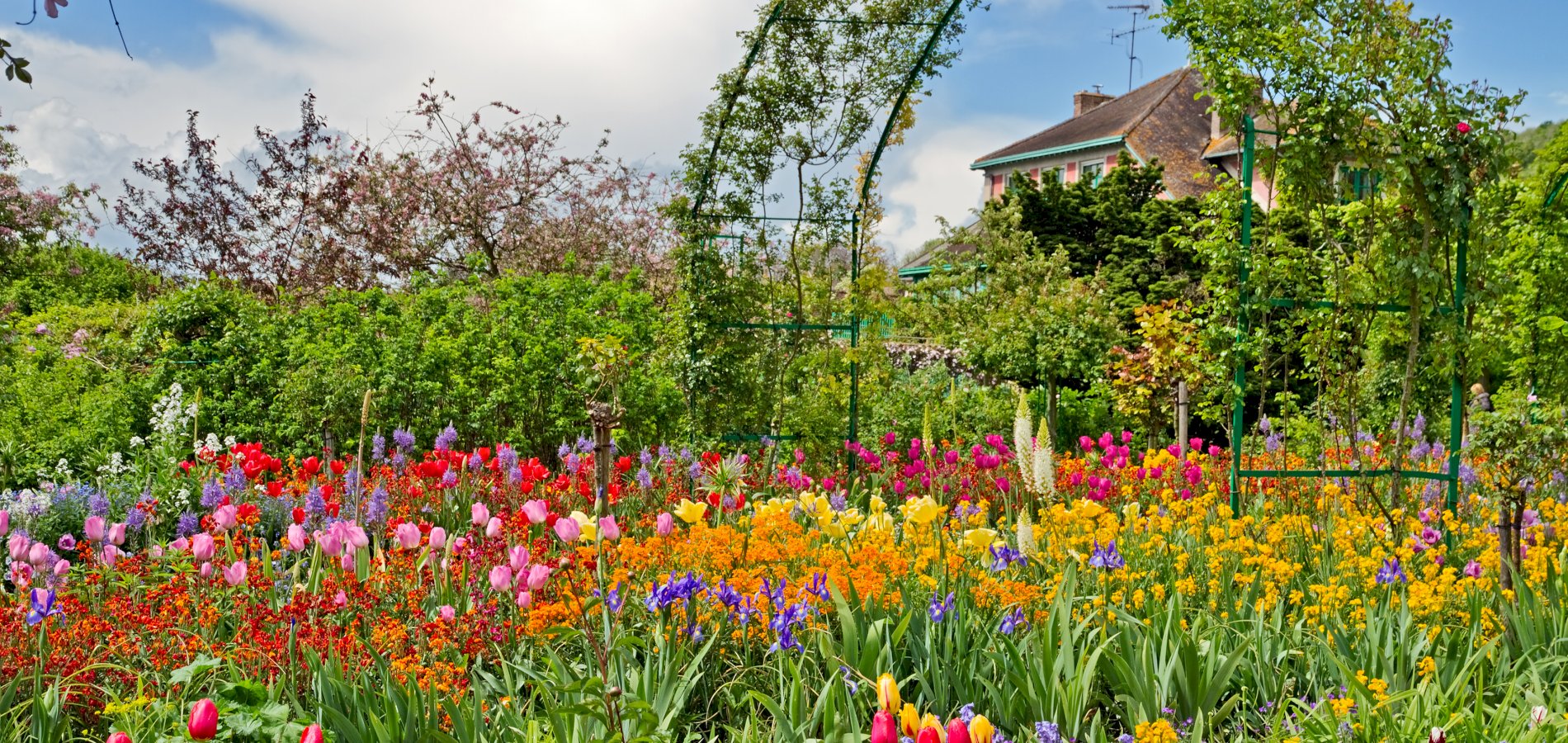 Ophorus Tours - Step into Monet's World: Private Tour to Giverny & Gardens