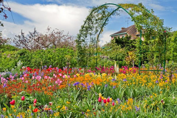 Ophorus Tours - Step into Monet's World: Private Tour to Giverny & Gardens