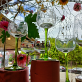 Alsace in your glass