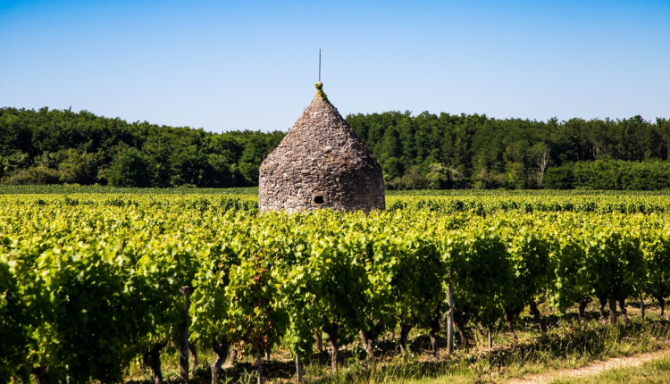 Ophorus Tours - The Bordeaux Wine Explorer: Private Saint-Emilion Tour to Graves & Sauternes