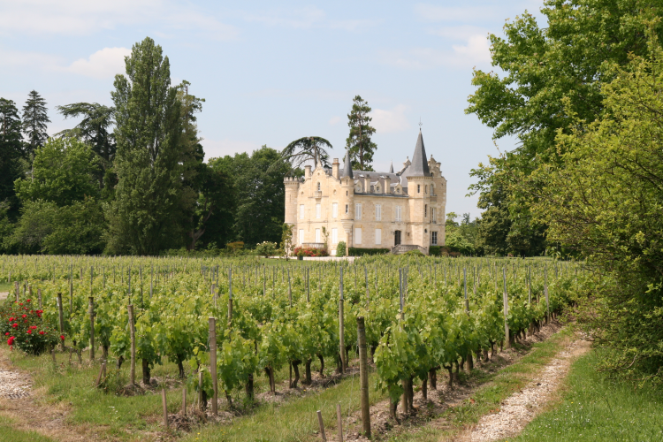 Ophorus Tours - The Bordeaux Wine Explorer: Private Saint-Emilion Tour to Graves & Sauternes
