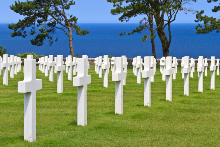 Ophorus Tours - From Rouen Port to D-Day landing Beaches Private Shore Excursion
