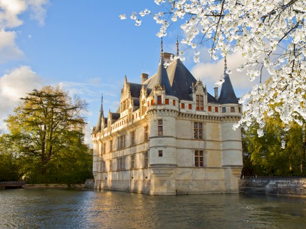 Ophorus Tours - Visit Azay-le-Rideau Castle: Guided Half-Day Tour from Tours