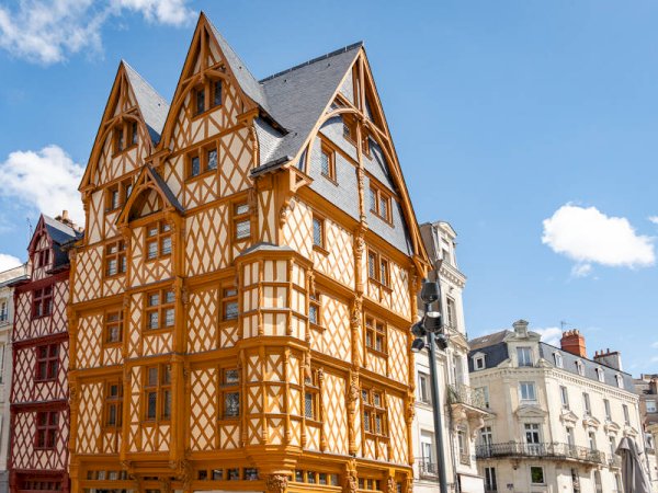 Ophorus Tours - Loire Valley Discovery: Private Angers Package with Fontevraud & Saumur