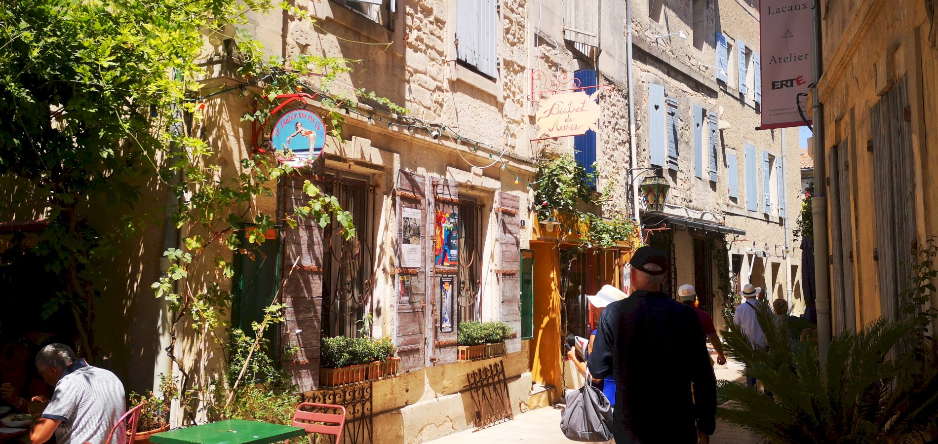 Ophorus Tours - Luxury Private Provence Tour from Avignon: Arles & Saint-Rémy Highlights