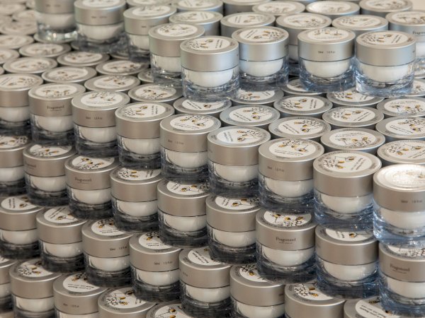 Ophorus Tours - Small Group Day Tour: Eze, Monaco, Monte-Carlo, Cannes & Antibes from Nice