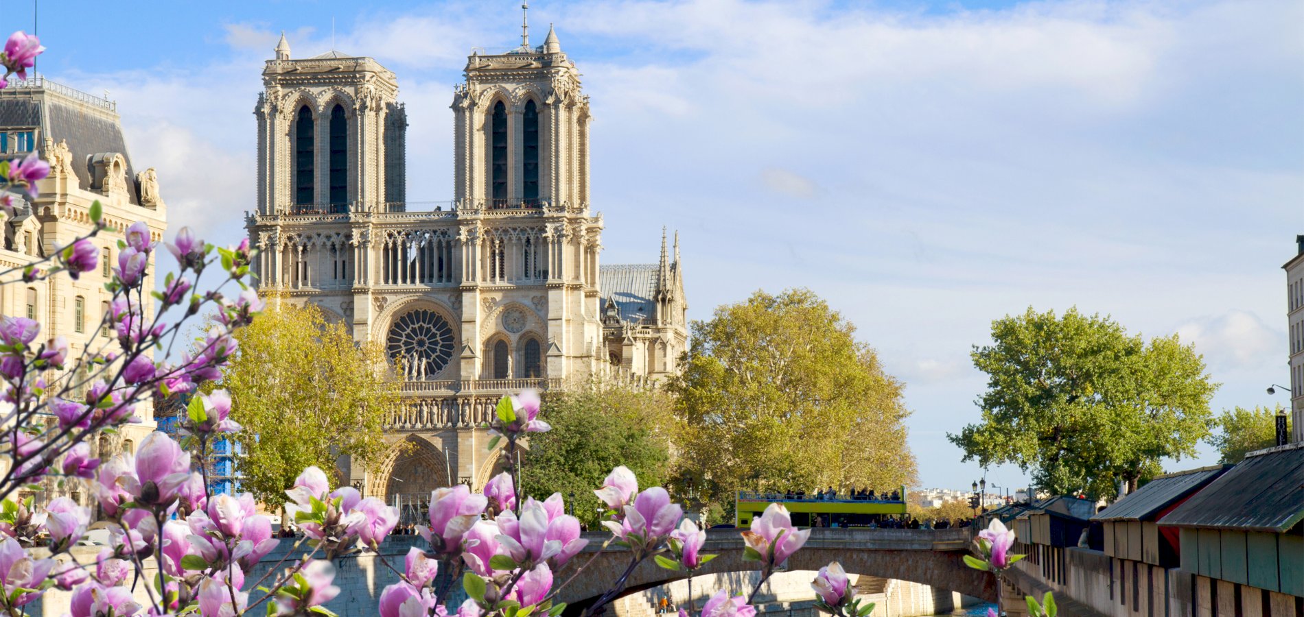Ophorus Tours - Paris: Notre Dame Cathedral inside & Neighborhood Guided Tour