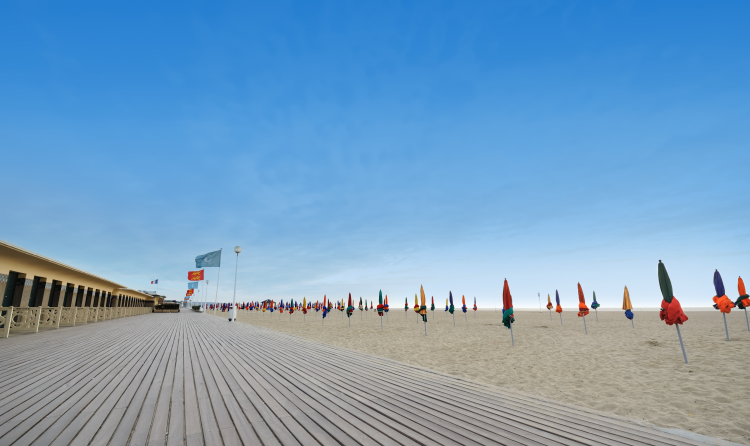 Ophorus Tours - Escape to Normandy's Côte Fleurie, Shore Excursion from Honfleur