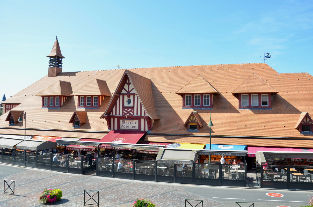 Ophorus Tours - Escape to Normandy's Côte Fleurie, Shore Excursion from Honfleur