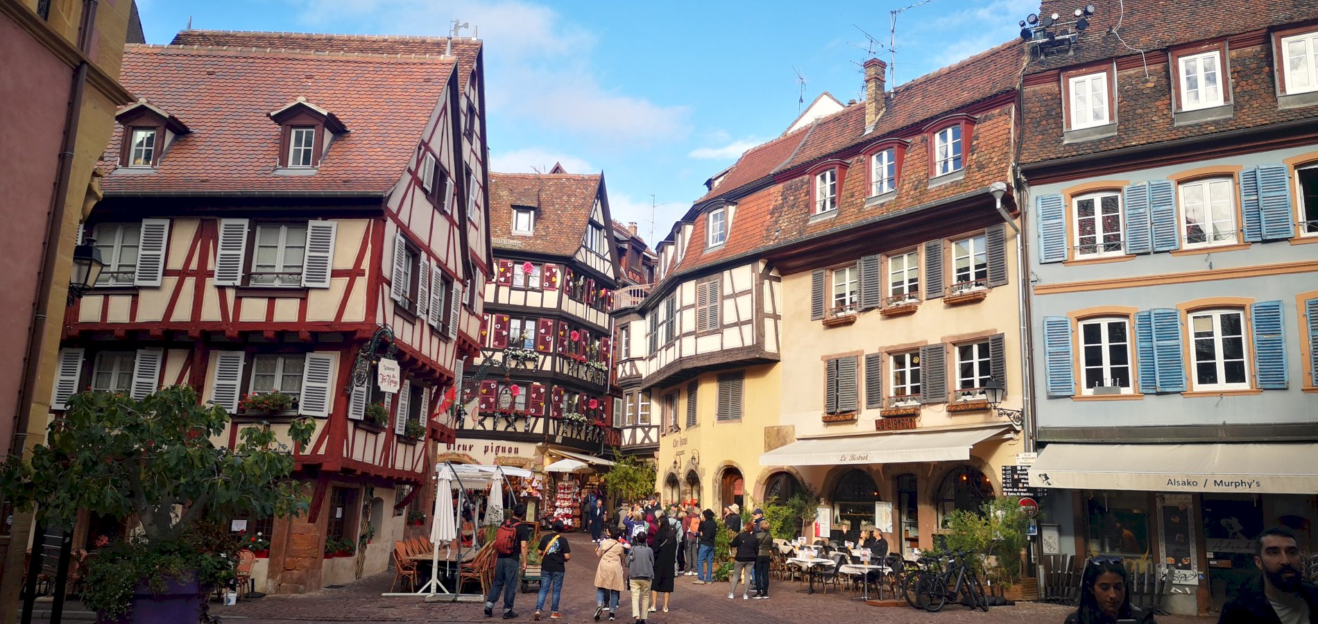 Ophorus Tours - Alsace Essentials – Private Rhine River Shore Excursion from Strasbourg