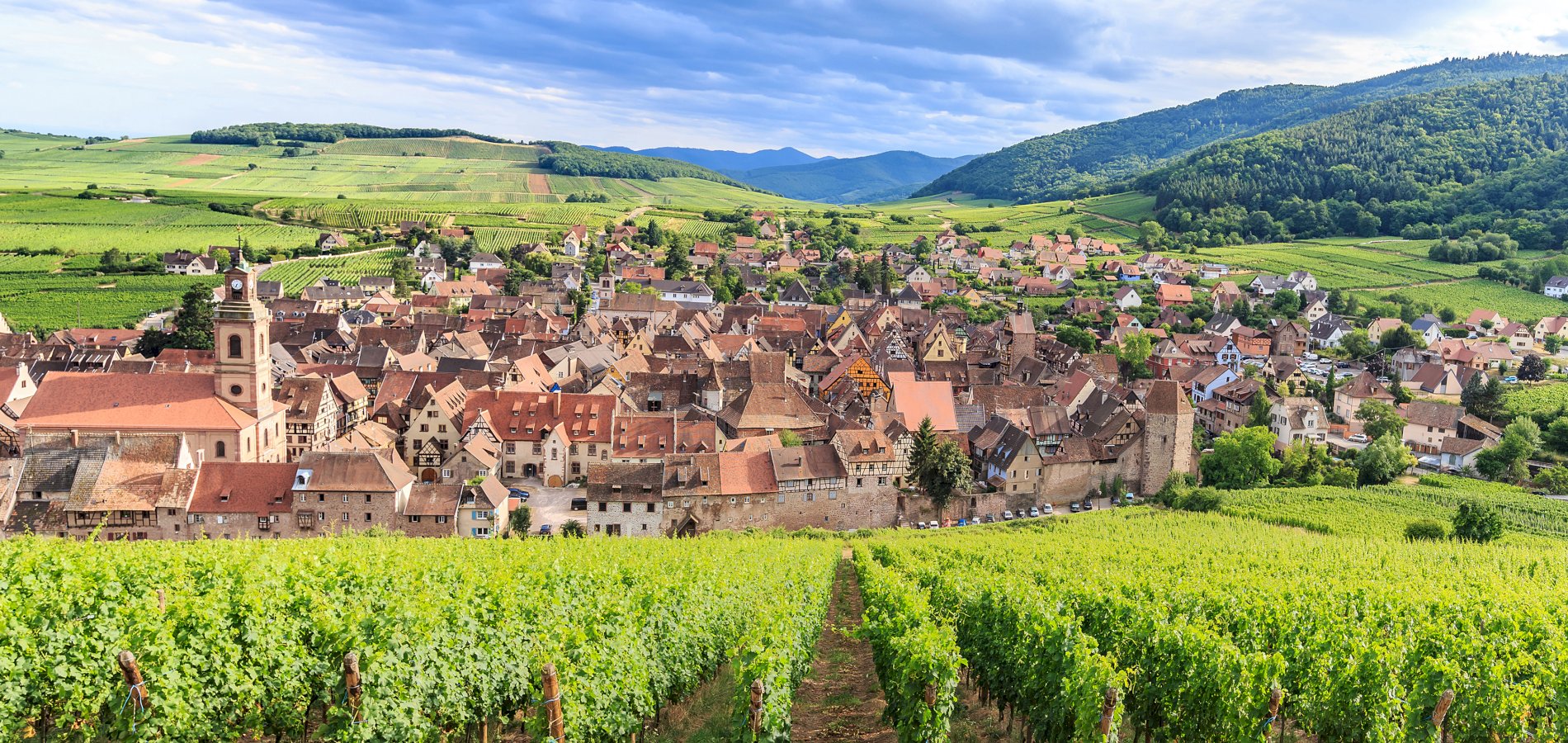 Ophorus Tours - Alsace Highlights Private Shore Excursion from Breisach