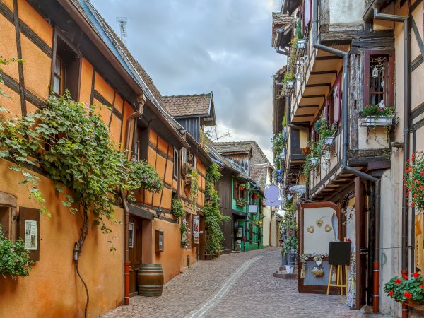 Ophorus Tours - Alsace Highlights Private Shore Excursion from Breisach