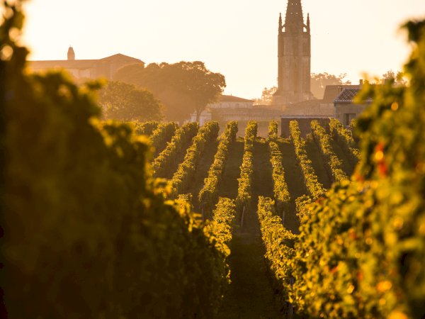 Ophorus Tours - Saint-Émilion Private Wine Tour – Bordeaux River Cruise Shore Excursion