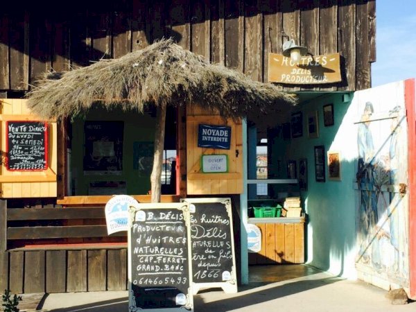 Ophorus Tours - Arcachon Bay Private Tour – Bordeaux River Cruise Shore Excursion