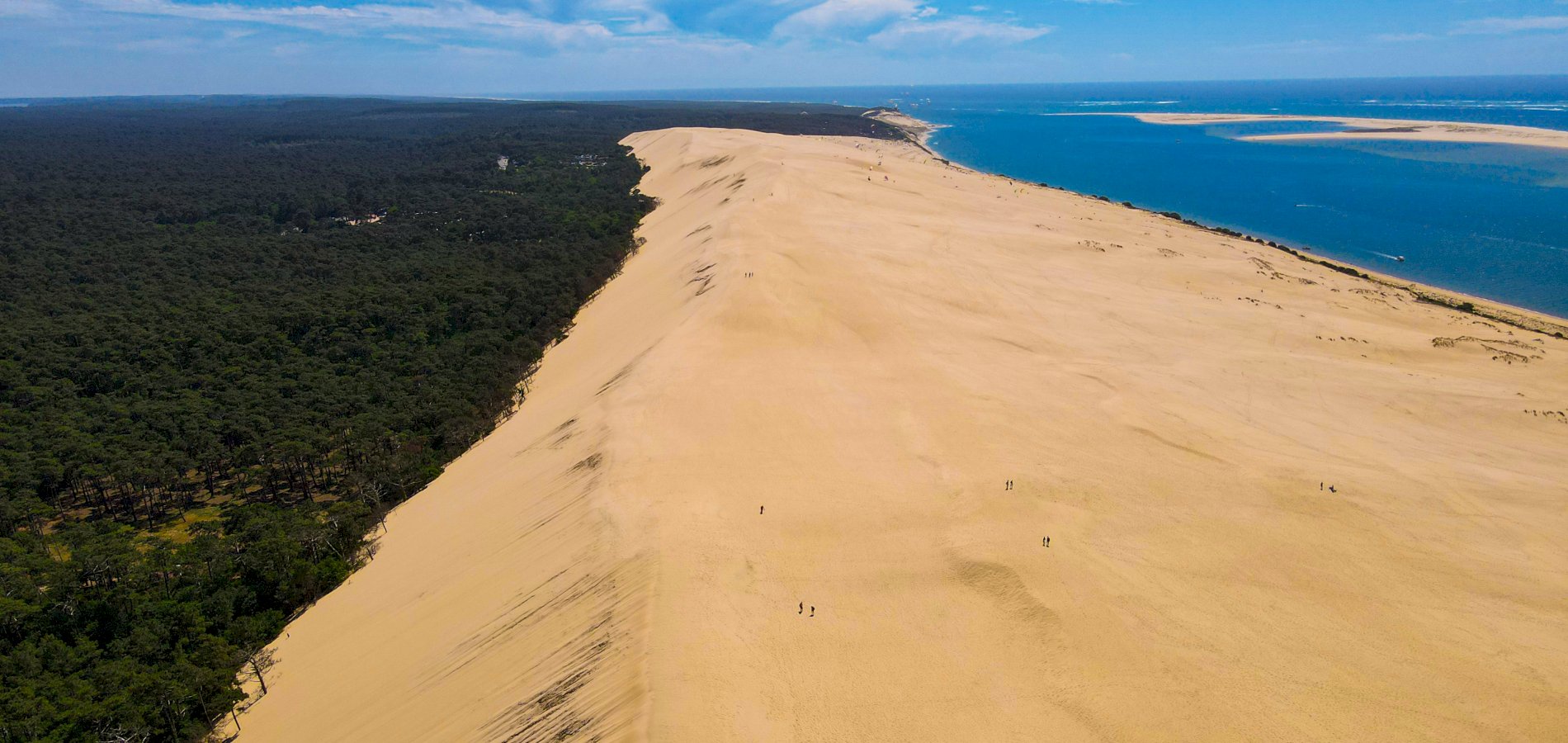 Ophorus Tours - Arcachon Bay Private Tour – Bordeaux River Cruise Shore Excursion