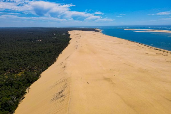 Ophorus Tours - Arcachon Bay Private Tour – Bordeaux River Cruise Shore Excursion