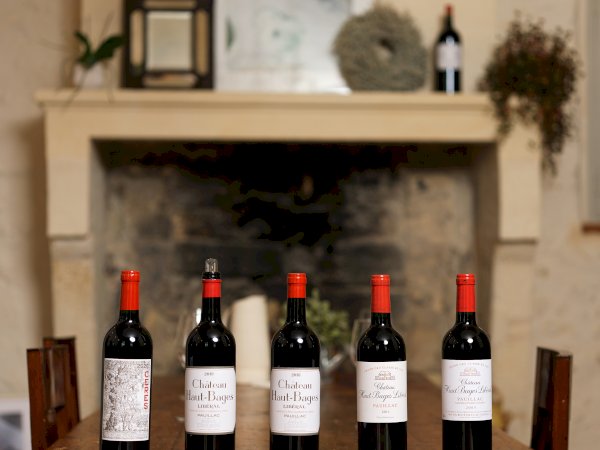 Ophorus Tours - Luxury Pauillac Wine Experience at Château Haut‑Bages Libéral from Bordeaux