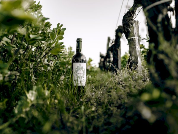 Ophorus Tours - Château Ferrière Private Wine Tour & Cooking Class from Bordeaux 