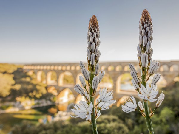 Ophorus Tours - Pont du Gard UNESCO Site – Avignon River Cruise Excursion