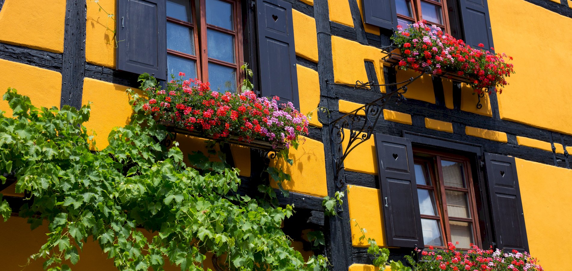 Ophorus Tours - Kehl to Alsace Treasures – Private Tour for Rhine River Cruises