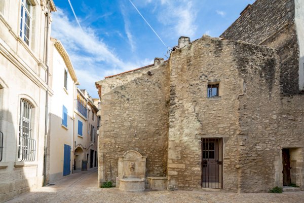 Ophorus Tours - Saint-Rémy & Olive Oil Tasting – Avignon River Cruise Shore Excursion