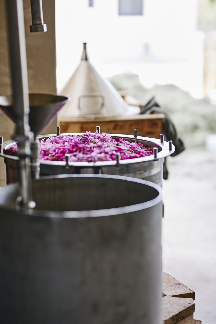 Ophorus Tours - Private Lavender, Essential Oils & Perfume Workshop from Aix-en-Provence