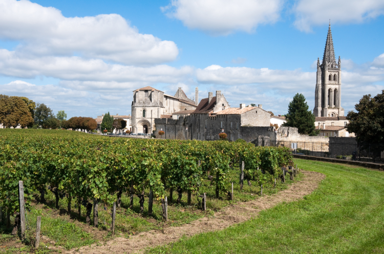 Ophorus Tours - Bordeaux to Saint-Émilion & Margaux Small Group Wine Tour