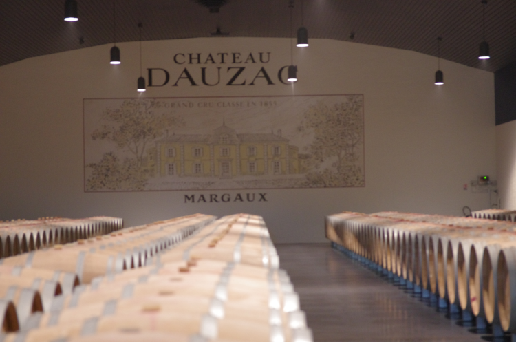 Ophorus Tours - Bordeaux to Saint-Émilion & Margaux Small Group Wine Tour