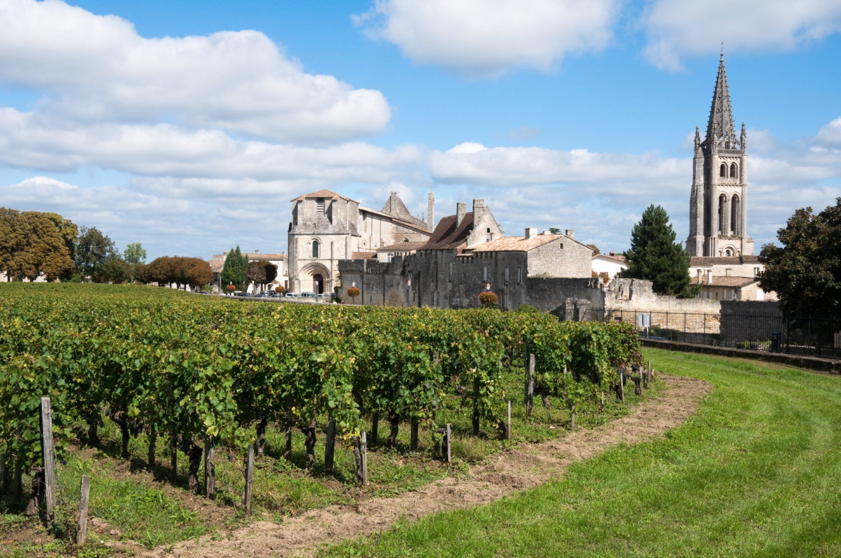 Ophorus Tours - Bordeaux to Saint-Émilion & Margaux Small Group Wine Tour