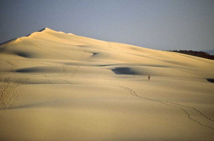 Ophorus Tours - Arcachon & Dune du Pilat Small Group Tour from Bordeaux