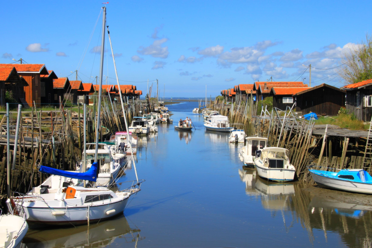 Ophorus Tours - Arcachon & Dune du Pilat Small Group Tour from Bordeaux